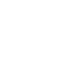 Norsk meteornettverks logo